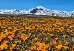 Geyik Dağları görenleri hayran bırakıyor: Antalya'da doğaseverler tutkunu oldu