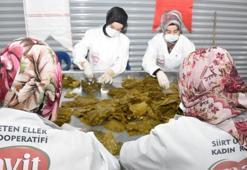 Karşılıksız para desteği! 150 bin TL verilecek, başvurular başladı