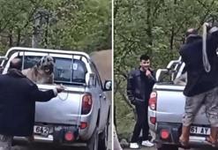 Köpeğe halatla acımadan vurdu! Şahıs gözaltına alındı