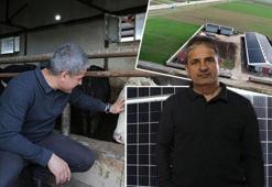Muşlu girişimci aklını kullandı! Çifte gelir kaynağı yarattı: Elektrik dağıtım şirketine satış yaparak ek gelir sağlıyor