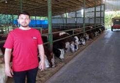 Kurban fiyatları belli oluyor! Geçen yıla göre değişiklik var mı?