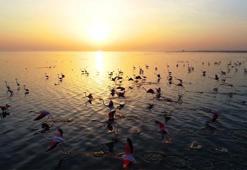 Adana'da kesin korunacak hassas bölge! Binlerce kuşa ev sahipliği yapıyor! Fotoğraf çekmek için akın ediyorlar