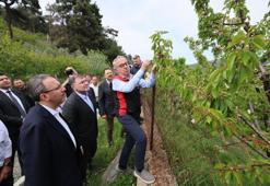 İzmir Milletvekili Kasapoğlu’ndan zirai don açıklaması: Çiftçilerimizin yanındayız