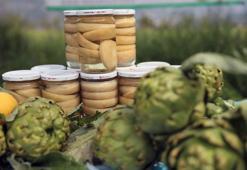 Akçapınar’da ‘Hibrit Enginar Hasadı Tarla Günü' düzenlendi