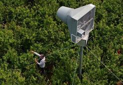 Bu bahçeleri 'donsavar' koruyor! İzmir ve Manisalı çiftçilerin taktiği tuttu, ürün zirai dondan etkilenmedi