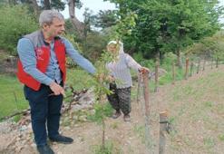Muğla'da kapsamlı tarımsal takip başladı