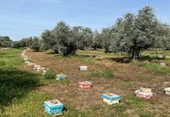 Yılda 7 bin adet üretiyor! Gelin görümce el ele verdi: Üç çeşidi de Türkiye'nin dört bir yanına satıyor!
