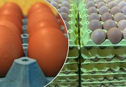 Ramazan hareketliliği sona erdi: Yumurta fiyatları geriliyor