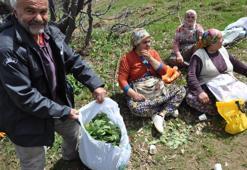 Nisan'da boy verdi, mayıs sonuna kadar toplanıyor! Sason'un meşhur gülük pancarı tezgahlarda