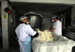 80 ton sütten 3 ton kaşar peyniri ile 500 kilogram tereyağı üretildi