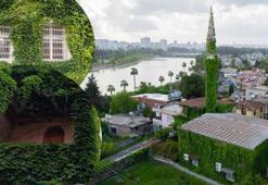 Adeta botanik bahçesini andırıyor! Bahar gelmesiyle Adana'nın meşhur sarmaşıklı camisi yeşile büründü