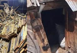 Rize'de kış uykusundan uyanan ayılar 30 eve zarar verdi