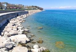 Van Gölü'nde çekilme sürüyor! Uzman isim bir tehlikeye dikkat çekti