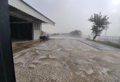 Adana'da sağanak ve dolu yağışı, ekili alanlara zarar verdi