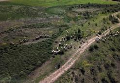 Üzerinde koyun otlattıkları barajda şimdi balık avlıyorlar! Bursa'daki barajın son hali sevindirdi