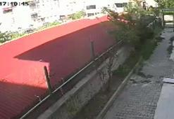 Ankara'da kan donduran vahşet! Doktorun evinde poşetlenmiş hayvan cesetleri bulundu: Sahiplendiği köpekleri evde parçalayıp öldürdüğü ortaya çıktı