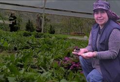 Avrupa Birliği destekledi, 3 kuzen bölgenin en büyüğü oldu! 1 milyondan fazla üretip 81 ilde gönderiyor