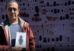 İş yerinin bahçesinde gördü, 19 yeni tür keşfetti! Dünya artık eşi ve çocuğunun ismiyle tanıyacak
