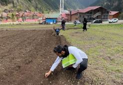 Arap turistler, tarlada mısır eken vatandaşlara hurma dağıttı