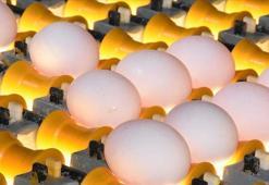 Her gün milyonlarcası çöpe gidiyor! Yumurta kabuğu deyip geçmeyin, 4 katı fiyata satılabiliyor