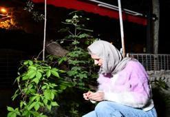 Bilecik'te Kırklar Tepesi'nde Hıdırellez geleneği yaşatıldı