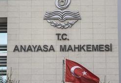 AYM’den sokak hayvanları yasasına onay! İptal talebi reddedildi