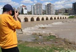 Dünya onu arıyor, Sivas'ta tesadüfen yakalandı! Kuş sandı, yakından bakınca gözlerine inanamadı