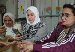 12 bin yıllık lezzet! Siyez Orta Doğu sofralarını süsleyecek