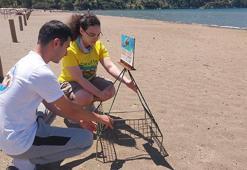 İztuzu Sahili'nde caretta caretta yuvası sayısı 10'a ulaştı