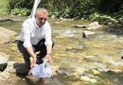 Kocaeli'nde 8 bin kırmızı benekli alabalık yavrusu dereye salındı