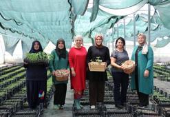 Evde otururken akıllarına geldi! 8 kadın birleşip kurdu, her gün binlerce üretiyorlar