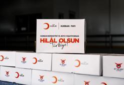 Kızılay 2025 vekalet kurbanlık fiyatlarını açıkladı