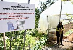 Bir damla yağmur suyu boşa akmıyor! Seracılara devlet desteğiyle depo kuruldu