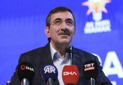 Cumhurbaşkanı Yardımcısı Yılmaz'dan Pakistan ile Hindistan arasındaki ateşkes için açıklama