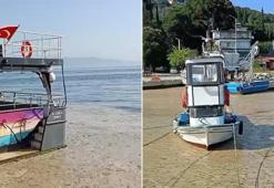Marmara’nın turistik körfezi müsilajla kaplandı! 'Oltalar dipte takılıyor'