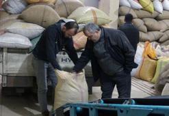 Anavatanı Türkiye, dünyadaki üretimin yüzde 68'ini karşılıyoruz! Fiyatlar 220 liradan 180 liraya düştü