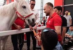 Atlar ve özel çocuklar arasında gönül köprüleri kuruldu