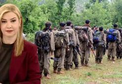 Türkiye terör sorununda yeni bir sayfa açıyor! Dicle Canova perde arkasını CNN TÜRK’te anlattı