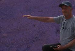 Havalar ısınınca ortaya çıktı! İlçenin başına bela oldu, dokunanı anında öldürüyor