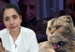 Adana'da kedi krizi! 3 ündür kayıp olan Diablo bulunmazsa evlilik bitecek!