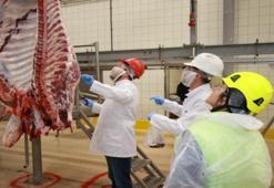 Kurban kesimi için internetten başvuru yapılıyor! 15 Mayıs'ta başlayacak