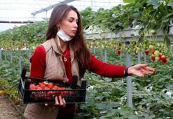 Sadece 200 bin TL harcadı, haftada 1,5 buçuk ton ihracat yapıyor! Adana'da ilk kez denedi