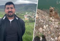 Sivaslı vatandaşın ayıyı görüntüleme macerası istediği gibi bitmedi!