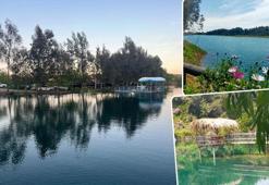 Adana'nın saklı cenneti: Narlıbahçe Kamp Alanı doğaseverlerin yeni gözdesi oldu