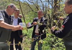 Samsun'da üreticileri çileden çıkardı! Bakanlık harekete geçti: 2.500 tanesi doğaya salındı