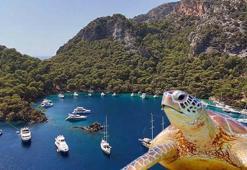 Göcek koylarında müzik yasağı! Deniz Kaplumbağalarının yaşam alanları korunuyor