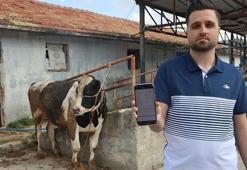 Sosyal medyada gördü, büyük dolandırıldı! 'Kardeşimle pazarlık yapma, ben ucuza vereceğim'