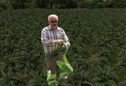 Fiyatlar ikiye katlandı, tanesi 70 liradan satılıyor! Sadece şubatta sıraya girenler alabiliyor