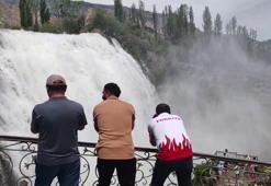 Tortum ve Uzundere'de foto safari heyecanı! Büyük ilgi gördü