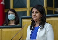 İmralı'ya yeni ziyaret! DEM Parti'den açıklama: Yeni kardeşlik sözleşmesine ihtiyaç var